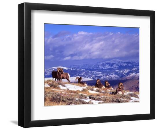 Premium Photographic Print, , large