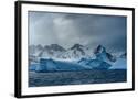 Chelsea Black