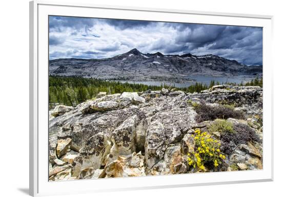 Framed Photographic Print, , large