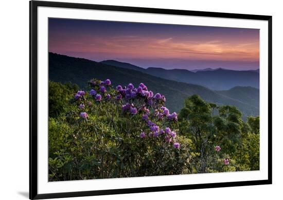 Framed Photographic Print, , large
