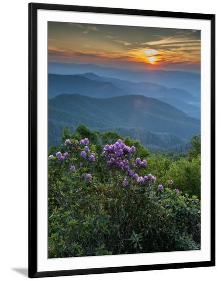 Framed Photographic Print, , large
