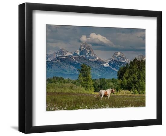 Photographic Print, , large
