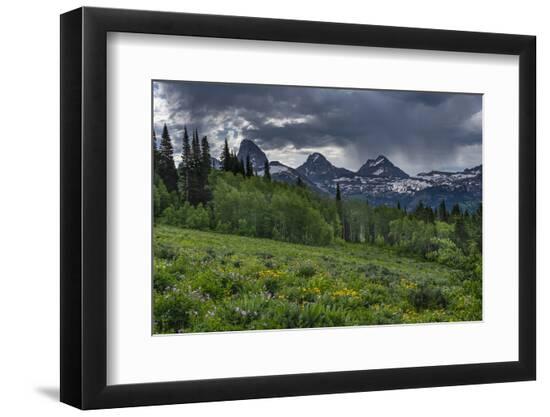 Photographic Print, , large