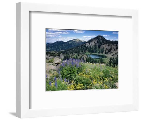 Framed Photographic Print, , large