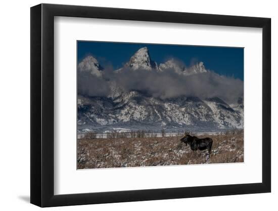 Premium Photographic Print, , large