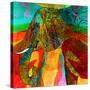 Stretched Canvas