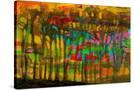 Stretched Canvas
