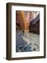 Howie Hiking in the Paria Canyon, Vermillion Cliffs Wilderness, Utah-Howie Garber-Framed Photographic Print