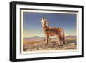 Black Frame