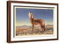 Brown Frame