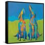 Howling Hounds-Phyllis Adams-Framed Stretched Canvas