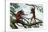 Howling Monkey, 1860-null-Stretched Canvas