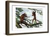 Howling Monkey, 1860-null-Framed Giclee Print