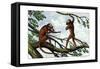 Howling Monkey, 1860-null-Framed Stretched Canvas