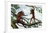 Howling Monkey, 1860-null-Framed Giclee Print