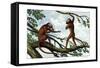 Howling Monkey, 1860-null-Framed Stretched Canvas