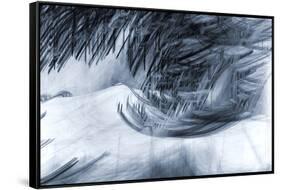 Howling Winter Storm-Ursula Abresch-Framed Stretched Canvas