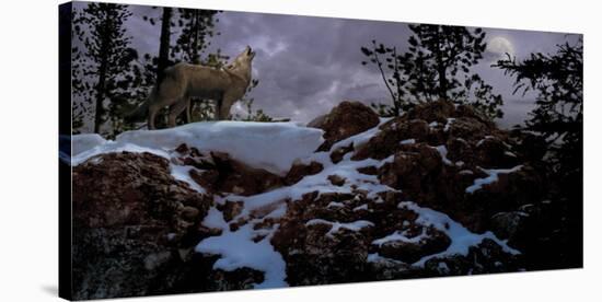 Howling Wolf-Steve Hunziker-Stretched Canvas