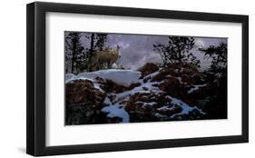 Howling Wolf-Steve Hunziker-Framed Art Print