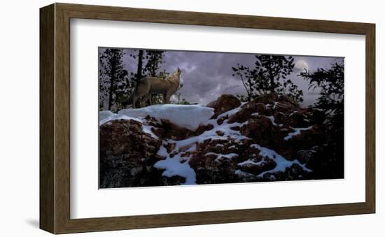 Howling Wolf-Steve Hunziker-Framed Art Print