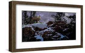 Howling Wolf-Steve Hunziker-Framed Art Print