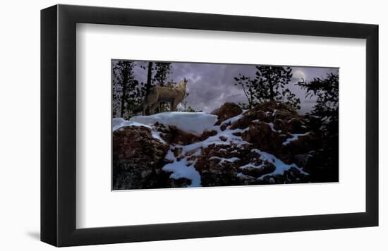 Howling Wolf-Steve Hunziker-Framed Art Print