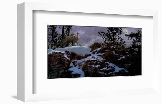 Howling Wolf-Steve Hunziker-Framed Art Print