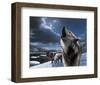 Howling Wolf-Kevin Daniel-Framed Art Print