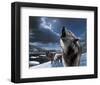 Howling Wolf-Kevin Daniel-Framed Giclee Print