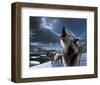 Howling Wolf-Kevin Daniel-Framed Giclee Print