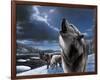 Howling Wolf-Kevin Daniel-Framed Giclee Print