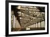 Howrah Bridge, Kolkata, West Bengal, India, Asia-Bhaskar Krishnamurthy-Framed Photographic Print