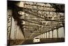 Howrah Bridge, Kolkata, West Bengal, India, Asia-Bhaskar Krishnamurthy-Mounted Photographic Print