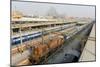 Howrah Railway Station, with Howrah Bridge Beyond, Kolkata (Calcutta), West Bengal, India, Asia-Tony Waltham-Mounted Photographic Print