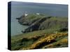 Howth Head Lighthouse, County Dublin, Eire (Republic of Ireland)-G Richardson-Stretched Canvas