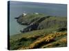 Howth Head Lighthouse, County Dublin, Eire (Republic of Ireland)-G Richardson-Stretched Canvas