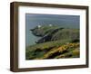 Howth Head Lighthouse, County Dublin, Eire (Republic of Ireland)-G Richardson-Framed Photographic Print