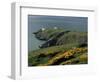 Howth Head Lighthouse, County Dublin, Eire (Republic of Ireland)-G Richardson-Framed Photographic Print