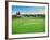 Howzat! Cricket at Poundbury, 2012-Liz Wright-Framed Giclee Print