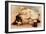 Hoytes Cologne, Dogs, Womens, USA, 1890-null-Framed Giclee Print