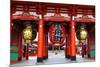 Hozomon Gate at Sensoji Asakusa Temple-coward_lion-Mounted Photographic Print