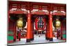 Hozomon Gate at Sensoji Asakusa Temple-coward_lion-Mounted Photographic Print