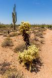 Three Crosses on a Hillside in the Arizona Desert-hpbfotos-Framed Photographic Print