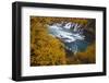 Hraunfossar waterfall in autumn, Iceland, September 2013.-David Allemand-Framed Photographic Print