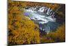 Hraunfossar waterfall in autumn, Iceland, September 2013.-David Allemand-Mounted Photographic Print