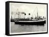 HSDG, Zweischrauben Motorschiff Monte Olivia,Dampfer-null-Framed Stretched Canvas