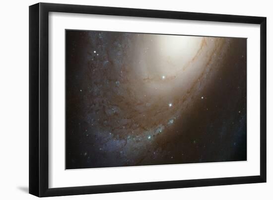 HST ACS Image of M81-null-Framed Art Print