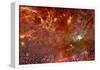 HST Spitzer Composite of Galactic Center Full-field Space Photo Art Poster Print-null-Framed Poster