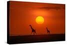 Stretched Canvas