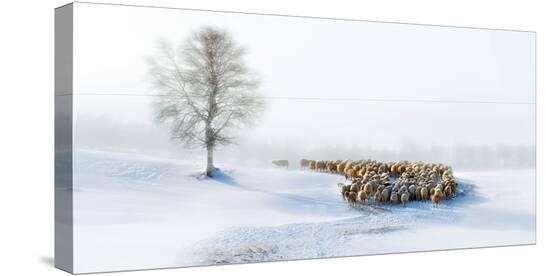 Stretched Canvas Print, , large